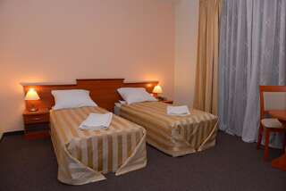Отель Hotel Pod Dębami Тересполь Двухместный номер с 1 кроватью или 2 отдельными кроватями-7